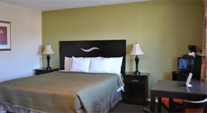 One King Bed Room