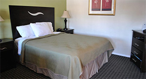 One Queen Bed Room