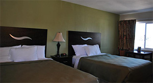 Queen Beds Room